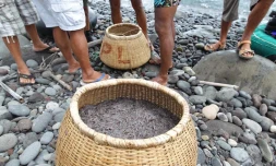 Vendredi 21 Octobre 2011
PĂŞche Bichique Ă la Possession