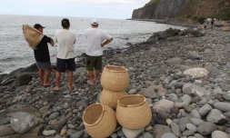 Vendredi 21 Octobre 2011

Pêche  Bichique à la Possession