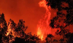Mardi 25 octobre 2011

Incendie sur la route forestière du Tévelave