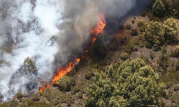 Mercredi 26 Octobre 2011
Incendie au Maïdo