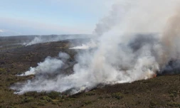 Mercredi 26 Octobre 2011

Incendie au Maïdo