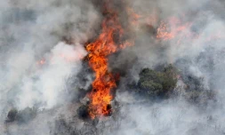 Mercredi 26 Octobre 2011
Incendie au Maïdo