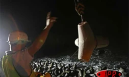 Pose de tétrapodes en contrebas de la route du littoral (Photo archives)