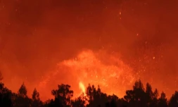 Mercredi 26 Octobre 2011
Incendie au Maïdo