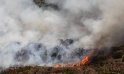 Mercredi 26 Octobre 2011

Incendie au Maïdo