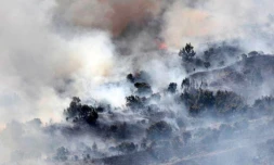Vendredi 28 Octobre 2011

Incendie dans le massif du Maïdo