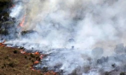 Vendredi 28 Octobre 2011

Incendie dans le massif du Maïdo