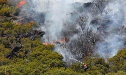 Vendredi 28 Octobre 2011

Incendie dans le massif du Maïdo