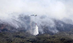 Vendredi 28 Octobre 2011

Incendie dans le massif du Maïdo