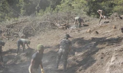L'armée est engagée dans la lutte contre l'incendie du massif du Maïdo (Photo RSMA-Réunion)