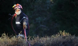 Dimanche 30 Octobre 2011

Incendie chemin Vaudeville.