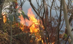 Dimanche 30 Octobre 2011

Incendie chemin Vaudeville.