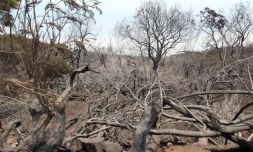 Lundi 31 Octobre 2011

Feux au Maïdo