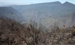 Lundi 31 Octobre 2011

Feux au Maïdo