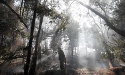 Mardi 1 Novembre 2011

Feux du Maïdo