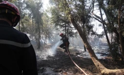 Mardi 1 Novembre 2011

Feux du Maïdo