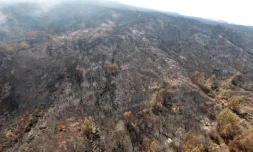 Dimanche 6 Novembre 2011
Feux au Maïdo