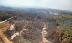 Dimanche 6 Novembre 2011
Feux au Maïdo