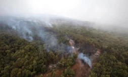 Dimanche 6 Novembre 2011
Feux au Maïdo