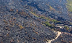 Dimanche 6 Novembre 2011
Feux au MaĂŻdo