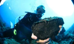 Projet Biolave (photo ARVAM)