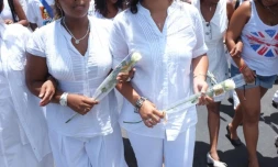 Vendredi 25 Novembre 2011
Les lycéens de Saint-Denis se mobilisent