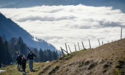 Des pistes de ski sans neige le 28 décembre 2015 à Leysin en Suisse