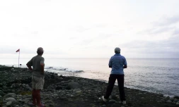Mercredi 7 décembre 2011 - Des témoins affirment avoir vu des requins à 10 mètres du bord au Barachois Saint-Denis