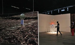 Biennale arts actuels Réunion