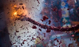 Photo Philippe Boyer pour www.ipreunion.com