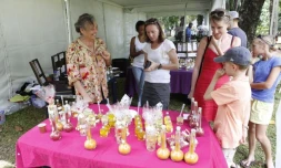 Mardi 20 décembre 2011 - Marché festif au Jardin de l'État à Saint-Denis (Photo Alexandre Rivière - Service Communication Conseil Général)