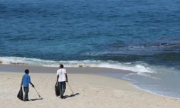 Collecte des déchets sur les plages de l'ouest