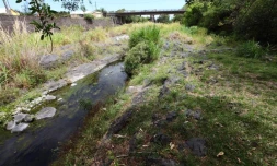 Lundi 2 janvier 2012 - En raison de la sécheresse, le lit de la rivière Langevin à Saint-Joseph est presque sec (Photo Philippe Boyer pour www.ipreunion.com)