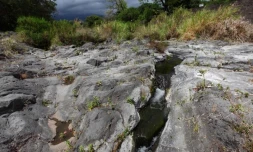 Lundi 2 janvier 2012 - En raison de la sécheresse, le lit de la rivière Langevin à Saint-Joseph est presque sec (Photo Philippe Boyer pour www.ipreunion.com)