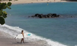 Mercredi 25 janvier 2012 - Malgré l'interdiction Sea Shepherd et les FrÚres de la CÎte surfent à Roches Noires en début d'aprÚs-midi.