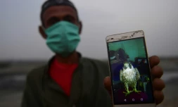 Muhammad Rafiq montre sur son smartphone la photo d'un faucon qu'il a vendu au marché noir, le 24 novembre 2020 près de Karachi, au Pakistan