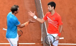 Rafael Nadal et Novak Djokovic opposés en finale au Masters 1000 de Rome, le 19 mai 2019, entrent en piste à Roland-Garros, en position de favoris