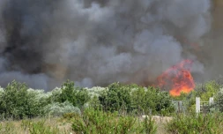 Le feu fait rage Ă Vauvert (Gard) dans le secteur oĂč s'est Ă©crasĂ© un bombardier d'eau, le 2 aoĂ»t 2019