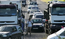 photo archive imaz press