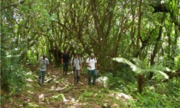 Espace naturel sensible de Bois Blanc - Fourré à jam-rozat (photo D.R)