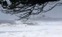 Dimanche 12 Février 2012

Cyclone Giovanna  houle dans le nord est de l'île