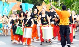 Samedi 18 février 2012 - Défilé carnavalesque à l'Etang-Salé (photo D.R)