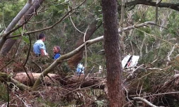 Samedi 25 février 2012 - Un avion de toursme s'écrase au Maïdo