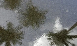 Pluie