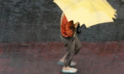 Pluie