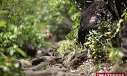 Sentier (photo archives)