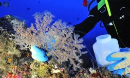 Projet Biolave (photo Arvam)