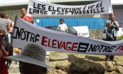 Jeudi 22 Mars 2012


Eleveurs et commerçants manifestent contre la charte