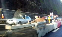 Vendredi 30 mars 2012 - 8 tonnes de rochers sont tombés sur la route du littoral (Photo Joël Marleux)