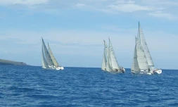 Spi Réunion 2011 (photo D.R)